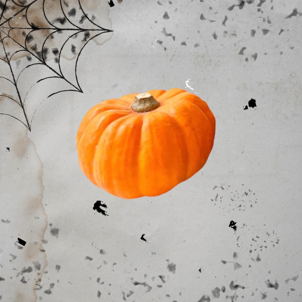 Mini citrouille Halloween